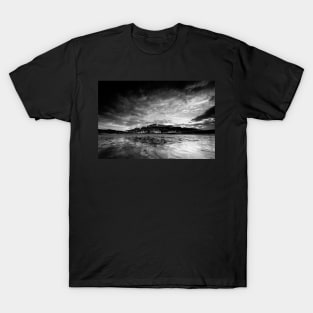 Saltburn T-Shirt